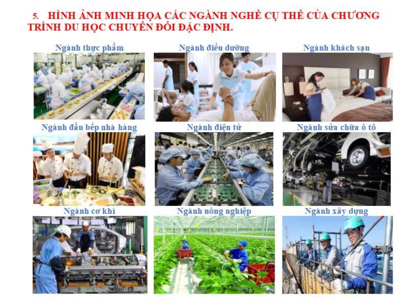 Bật mí các điều kiện du học nghề Đức 2023